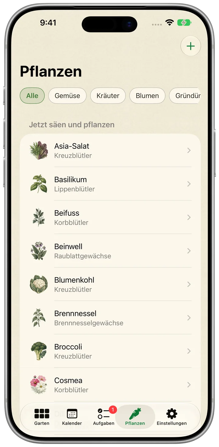Beet auf dem iPhone
