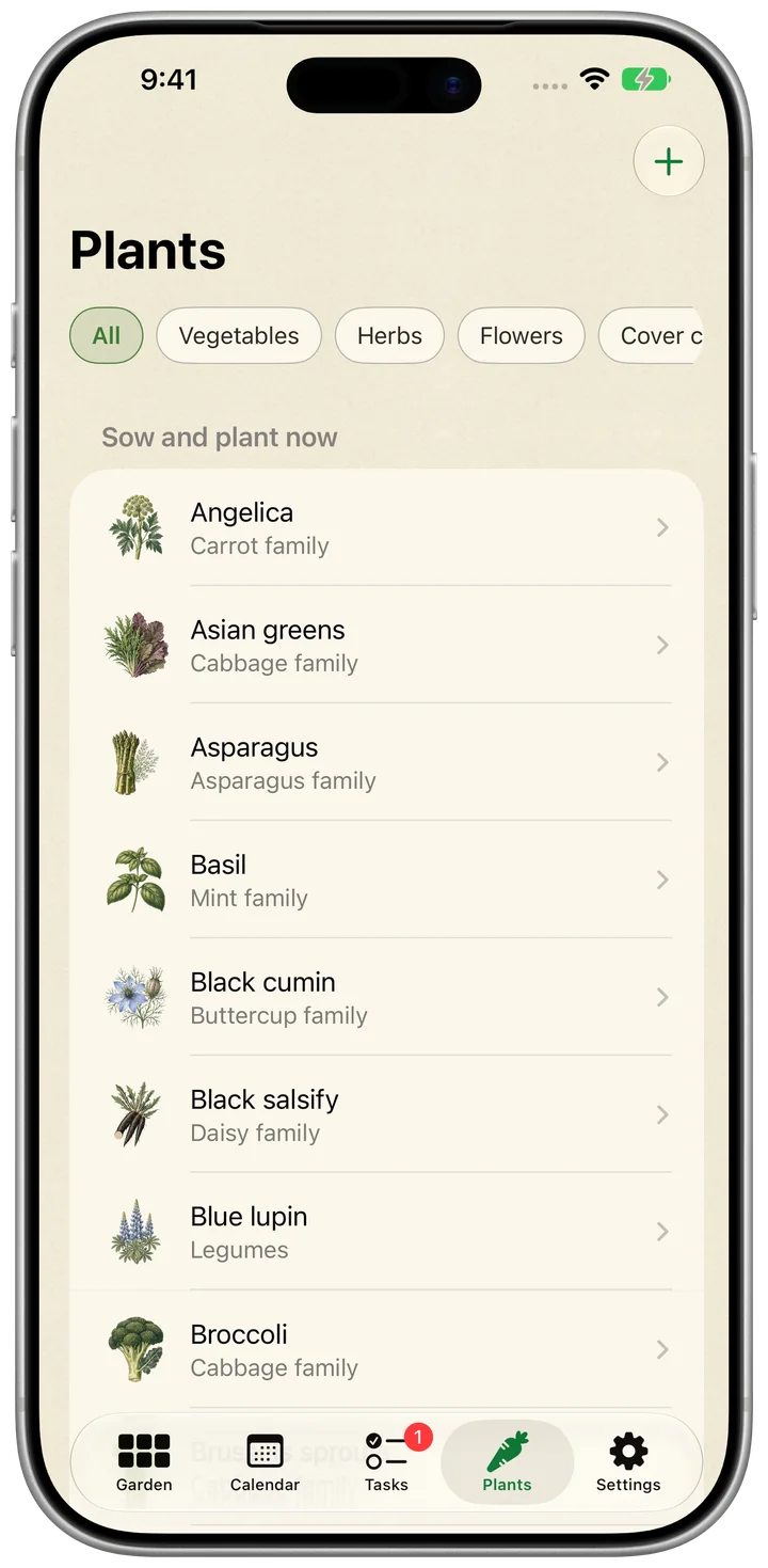 Beet on iPhone